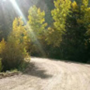 Meet your Posher, Larry